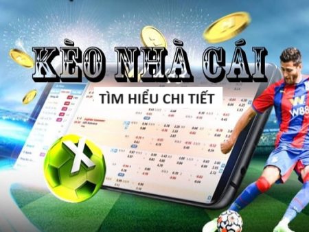 lịch thi đấu world cup 2025 tại qatar