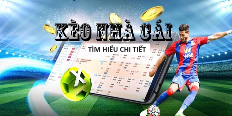 lịch thi đấu world cup 2025 tại qatar lịch thi đấu world cup 2025 tại qatar